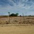  Land for sale in Montecristi, Manabi, Montecristi, Montecristi