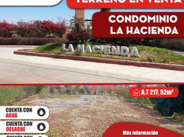  Terreno (Parcela) en venta en Ica, Subtanjalla, Ica, Ica