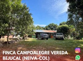  Villa for sale in Rivera, Huila, Rivera