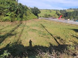  Land for sale in Manizales, Caldas, Manizales