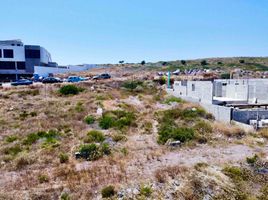  Grundstück zu verkaufen in Ensenada, Baja California, Ensenada