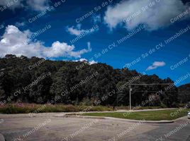  Land for sale in Patzcuaro, Michoacan, Patzcuaro