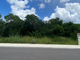  Grundstück zu verkaufen in Merida, Yucatan, Merida, Yucatan