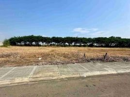  Land for rent in Samborondon, Guayas, Samborondon, Samborondon