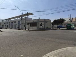  Terreno (Parcela) en venta en Tacna, Tacna, Tacna, Tacna