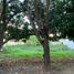  Land for sale in Muntinlupa City, Metro Manila, Muntinlupa City