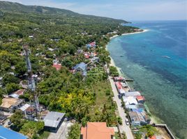  Land for sale in Oslob, Cebu, Oslob