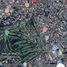  Land for sale in San Juan City, Metro Manila, San Juan City, Eastern District