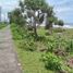  Land for sale in Jembrana Bali, Pekutatan, Jembrana