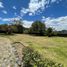  House for sale in Conocoto, Pichincha, Conocoto