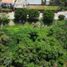 Land for sale in Huitzilac, Morelos, Huitzilac