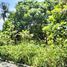 Terreno (Parcela) en venta en Liloan, Central Visayas, Liloan
