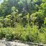  Terreno (Parcela) en venta en Liloan, Central Visayas, Liloan