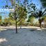  Land for sale in Floridablanca, Central Luzon, Floridablanca