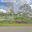  Land for sale in Infanta, Quezon, Infanta