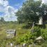  Land for rent in Chicxulub Pueblo, Yucatan, Chicxulub Pueblo