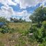  Land for rent in Chicxulub Pueblo, Yucatan, Chicxulub Pueblo