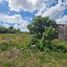  Land for rent in Chicxulub Pueblo, Yucatan, Chicxulub Pueblo