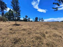  Land for sale in Conocoto, Pichincha, Conocoto