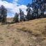  Land for sale in Conocoto, Pichincha, Conocoto