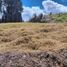  Land for sale in Conocoto, Pichincha, Conocoto