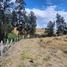  Land for sale in Conocoto, Pichincha, Conocoto