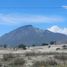  Land for sale in Oriental, Puebla, Oriental