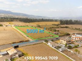  Terreno (Parcela) en venta en Imbabura, Cotacachi, Cotacachi, Imbabura