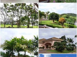 Terrain à vendre à Binan City, Calabarzon, Binan City, Laguna