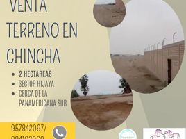  Terreno (Parcela) en venta en Chincha, Ica, Alto Laran, Chincha