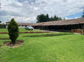  Land for sale in Conocoto, Pichincha, Conocoto