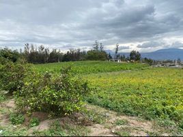  Land for sale in Guayllabamba, Quito, Guayllabamba