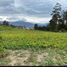  Land for sale in Guayllabamba, Quito, Guayllabamba