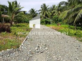  Land for sale in Aurora, Central Luzon, Baler, Aurora