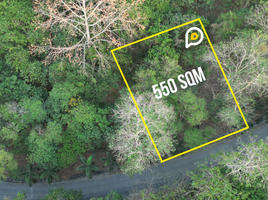 Terrain à vendre à Antipolo City, Calabarzon, Antipolo City, Rizal