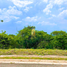  Land for sale in Cavite, Calabarzon, Silang, Cavite