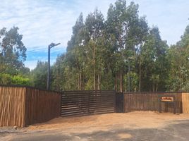  Terreno (Parcela) en venta en Pichilemu, Cardenal Caro, Pichilemu