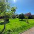3 Schlafzimmer Haus zu verkaufen in Elqui, Coquimbo, Coquimbo, Elqui, Coquimbo