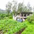 3 Bedroom House for sale in Conocoto, Pichincha, Conocoto