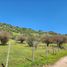  Land for sale in Las Cabras, Cachapoal, Las Cabras