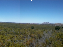  Grundstück zu verkaufen in Tecate, Baja California, Tecate