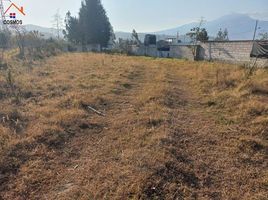  Terreno (Parcela) en venta en Otavalo, Imbabura, Eugenio Espejo (Calpaqui), Otavalo