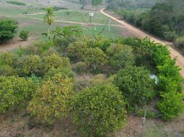  Terreno (Parcela) en venta en San Martín, Tarapoto, San Martín, San Martín