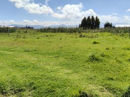  Grundstück zu verkaufen in Toluca, Mexico, Toluca