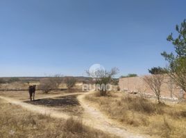  Land for sale in Lagos De Moreno, Jalisco, Lagos De Moreno