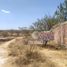  Land for sale in Lagos De Moreno, Jalisco, Lagos De Moreno