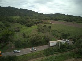  Terreno (Parcela) en venta en San Martín, Tarapoto, San Martín, San Martín