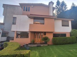 在墨西哥出售的 屋, Naucalpan De Juarez, Mexico, 墨西哥