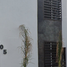 4 Habitación Casa en venta en Torreon, Coahuila, Torreon, Coahuila