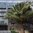 Condominium 3 chambre à vendre à Miguel Hidalgo, Mexico City, Miguel Hidalgo